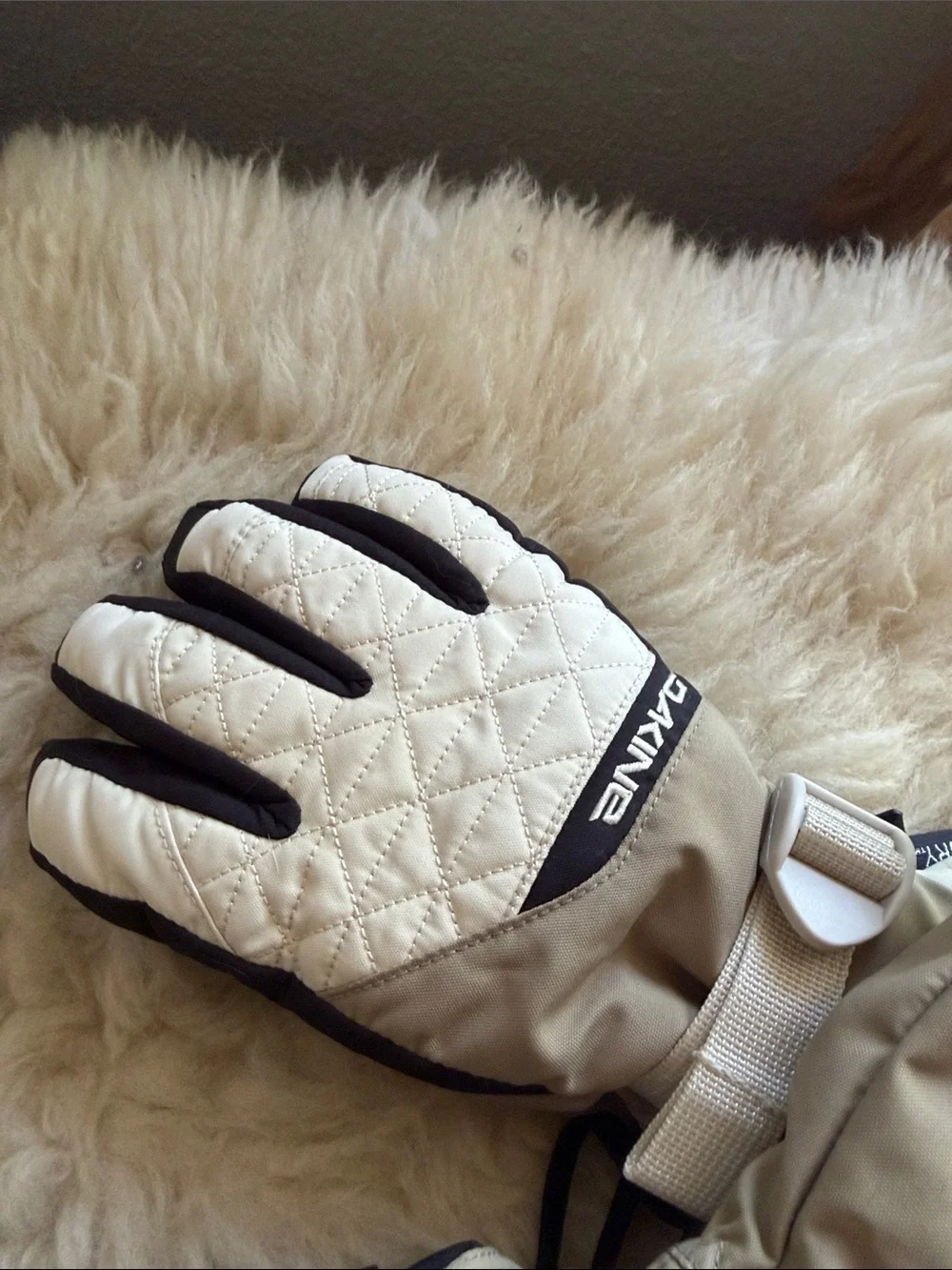 Dakine insulated gloves